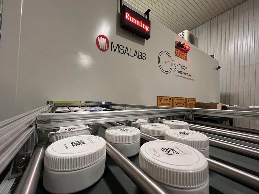 IMG 5443 adjusted CMYK